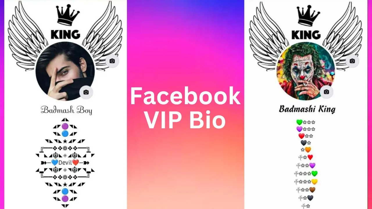 Facebook VIP Bio